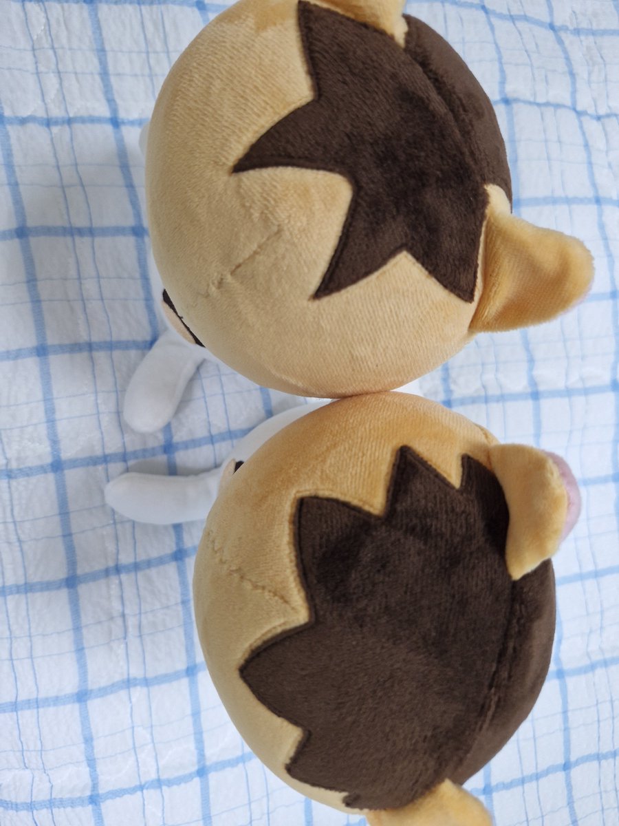 KEMMYA_20's tweet photo. 뚱띠들 도착해서 일단 올리기! https://t.co/YI3DsgBNPl