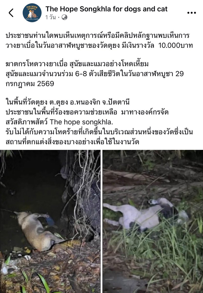 Kerymai_'s tweet photo. วันสำคัญทางศาสนายังไม่เว้น https://t.co/dRUxga3wf0