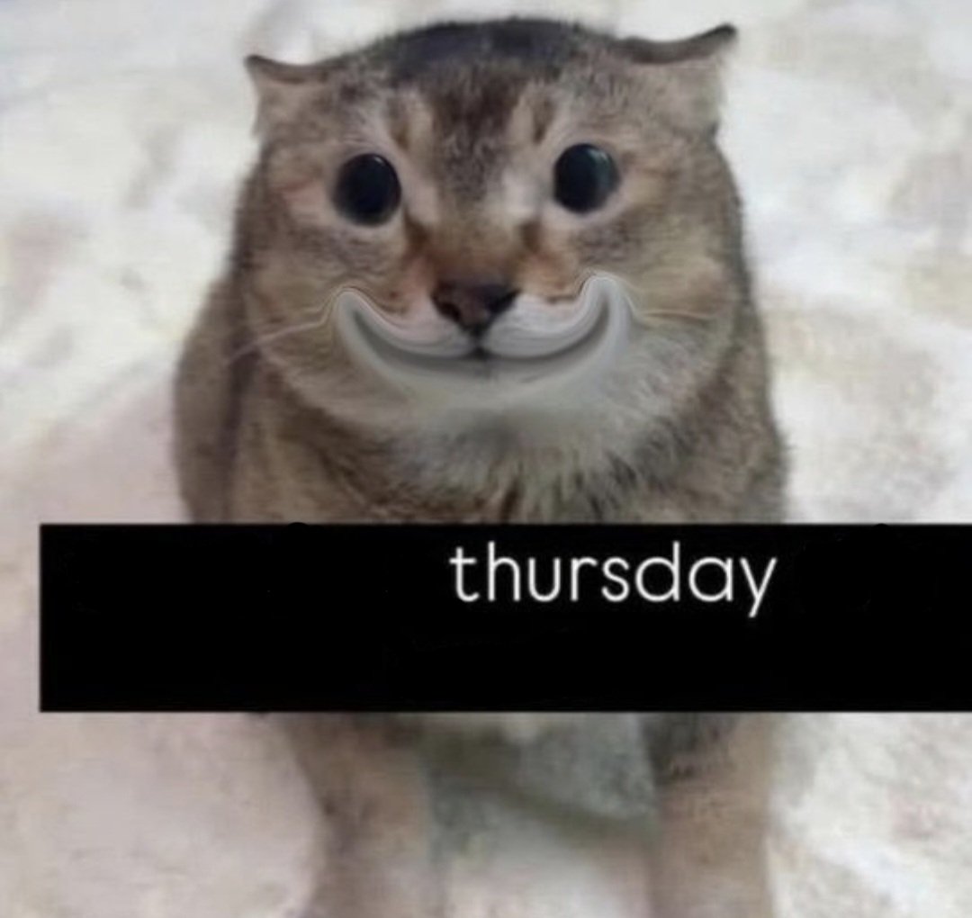 the47cat's tweet photo. https://t.co/MW0nJIKWjx