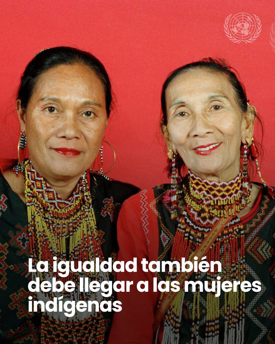 ONU_es's tweet photo. Ser mujer e indígena no debería significar enfrentar más barreras.

Garantizar la igualdad también significa eliminar las desigualdades que siguen afectando a millones de mujeres indígenas.

#SomosIndígenas https://t.co/Q2YS0adnOv
