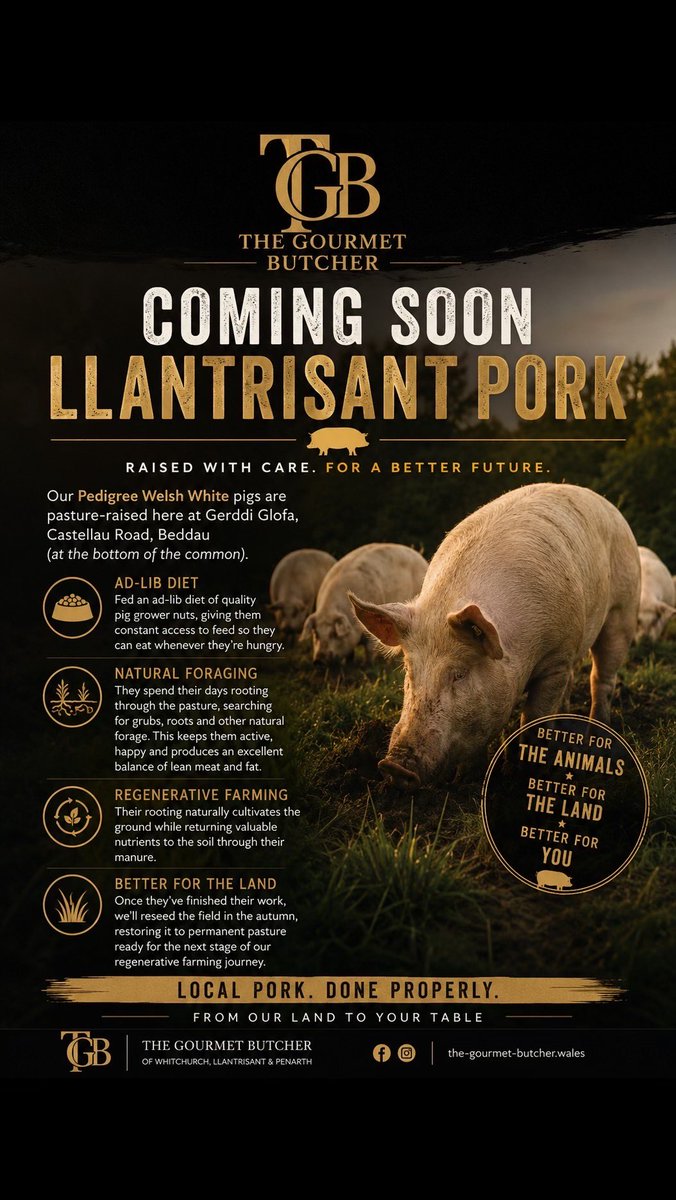 ButcherGourmet's tweet photo. 🐖 Coming Soon – Llantrisant Pork

Our Pedigree Welsh White pigs are being pasture-raised right here
🌱 Free to roam
🌾 Naturally forage
🥣 Ad-lib quality feed
♻️ Regenerative farming producing exceptional pork.
Better for the animals. Better for the land. Better for your plate. https://t.co/Cuw0mFlVt1