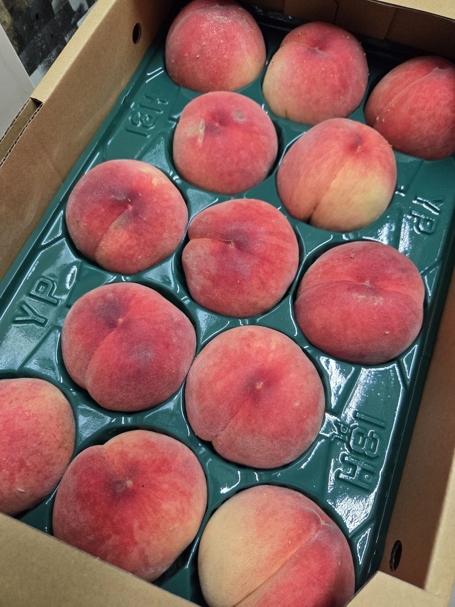 kira_ad's tweet photo. 福島県産あかつき
小さめで13個入1600円だったので、イマイチだったらスムージーにでもと思って買って帰ったら、6個入の箱が届く(笑)
去年もこんなことあったな…

一昨日はこだまスイカ1玉、夜にはぶどうもいただき、フルーツ三昧です🍉🍇🍑 https://t.co/i97FpsThAr