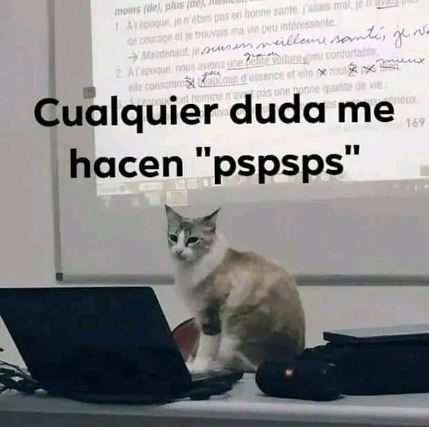 tiofelino2's tweet photo. El gato maestro 🐱🐾 https://t.co/4BLAxcBUDj