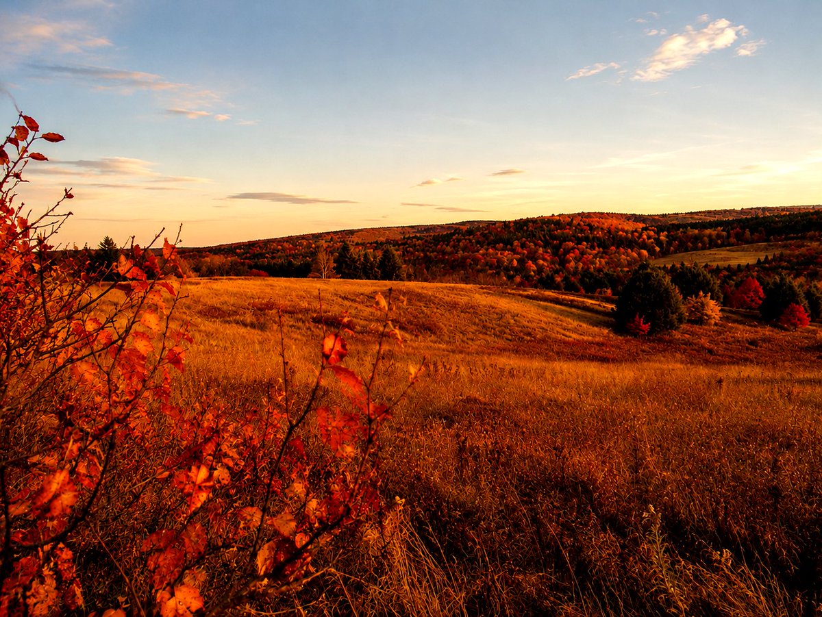 sanjaraic1's tweet photo. fallow borderland
fertile with nostalgia
fall colors return

#vss365 #fertile #DailyHaikuPrompt #fall_colors #haiku https://t.co/c1M1skRAen