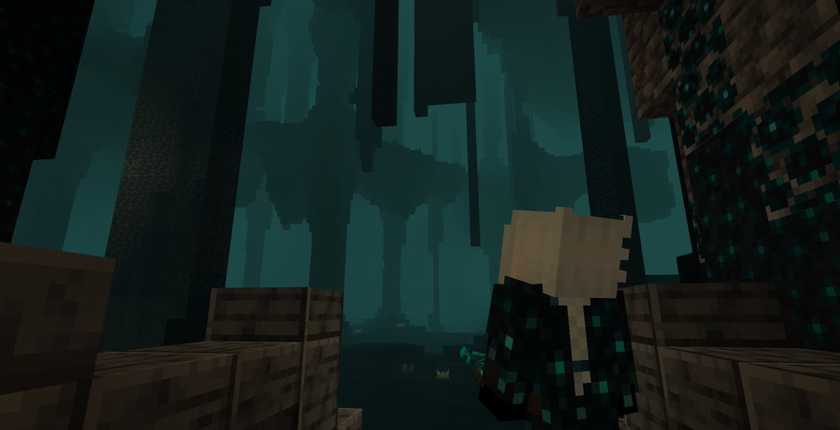 TheSculkQueen's tweet photo. Screenshots taken by me and @MsDrkness of our world, where we base in the Deep Dark 💙✨️ And one with a couple Warden friends :D https://t.co/9MGpA5JuBH