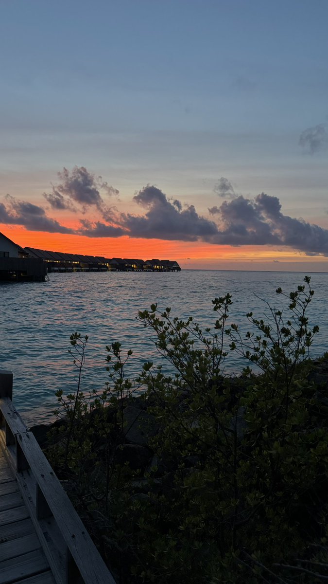 _iseen_'s tweet photo. Sunset therapy 🧡✨ https://t.co/f8XvSvqo1k