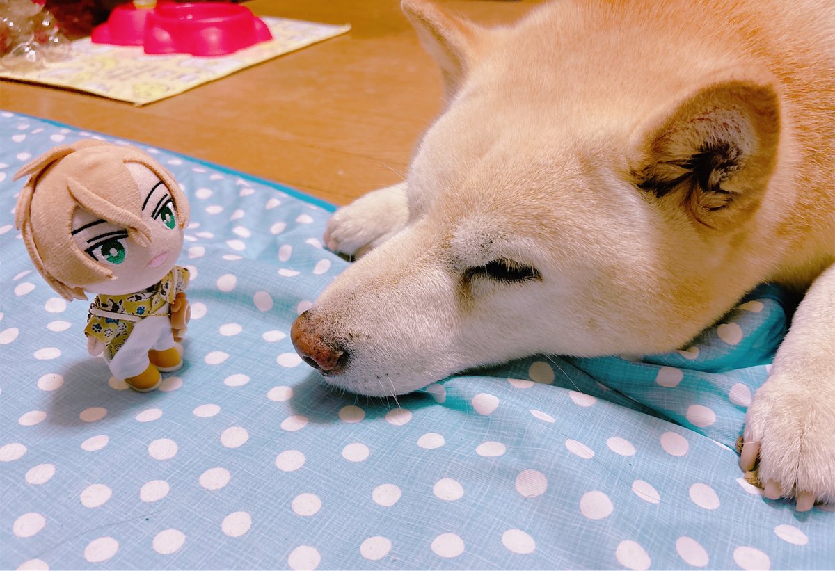 gt1aefn's tweet photo. ﾈｰﾈｰ https://t.co/VJgO5F8Ljo