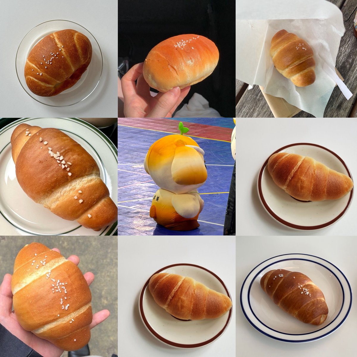 chochom_'s tweet photo. ชิโอะปัง มาเสริฟแล้ววววววววว🧡🌱🥐🍞🥖

𐙚⋆°.⋆ #TMiLK @TMiLK_Domundi 𝜗𝜚˚⋆ ᩚ ☘︎ https://t.co/Q7sQjZwqI3