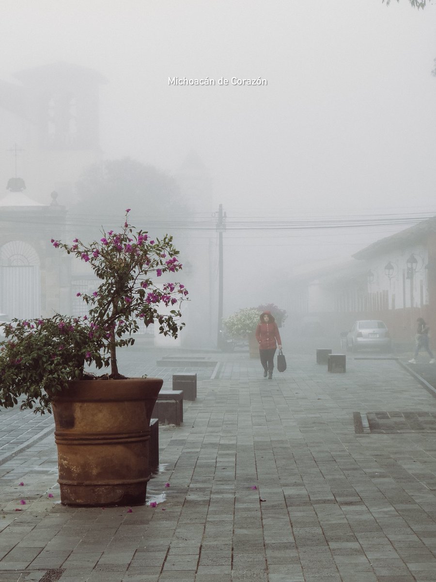 TurismPatzcuaro's tweet photo. Tengan un buen día 🙏 bendiciones #patzcuaro https://t.co/L77LHirAds