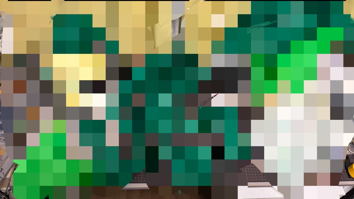 ラクたろ (@dream_raccoon) / Posts / X