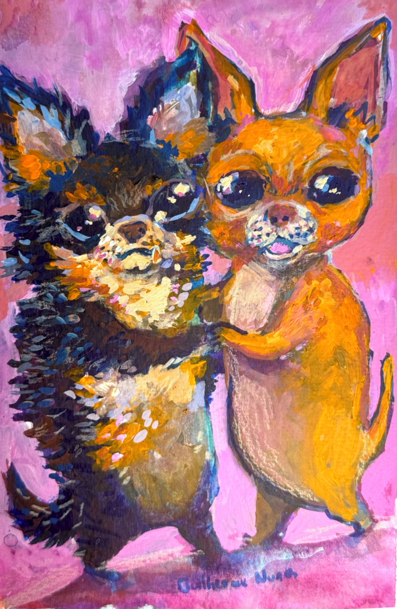 guilhernunes_'s tweet photo. Chihuahuas that managed to learn to dance forro https://t.co/IE9uJqFnpf