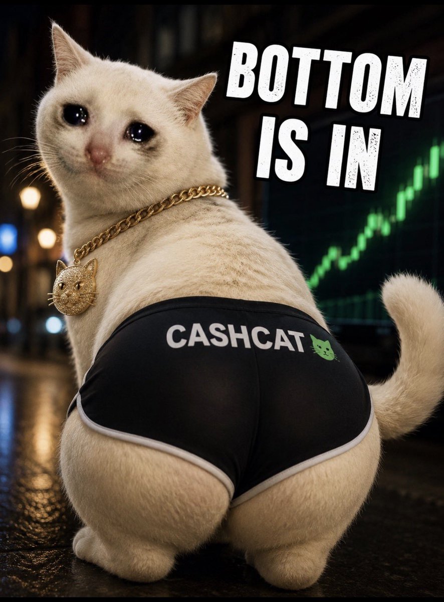 AhlerJack's tweet photo. @cashcat_token @RobinhoodApp @RobinhoodCrypto https://t.co/9FKGlUeiSB