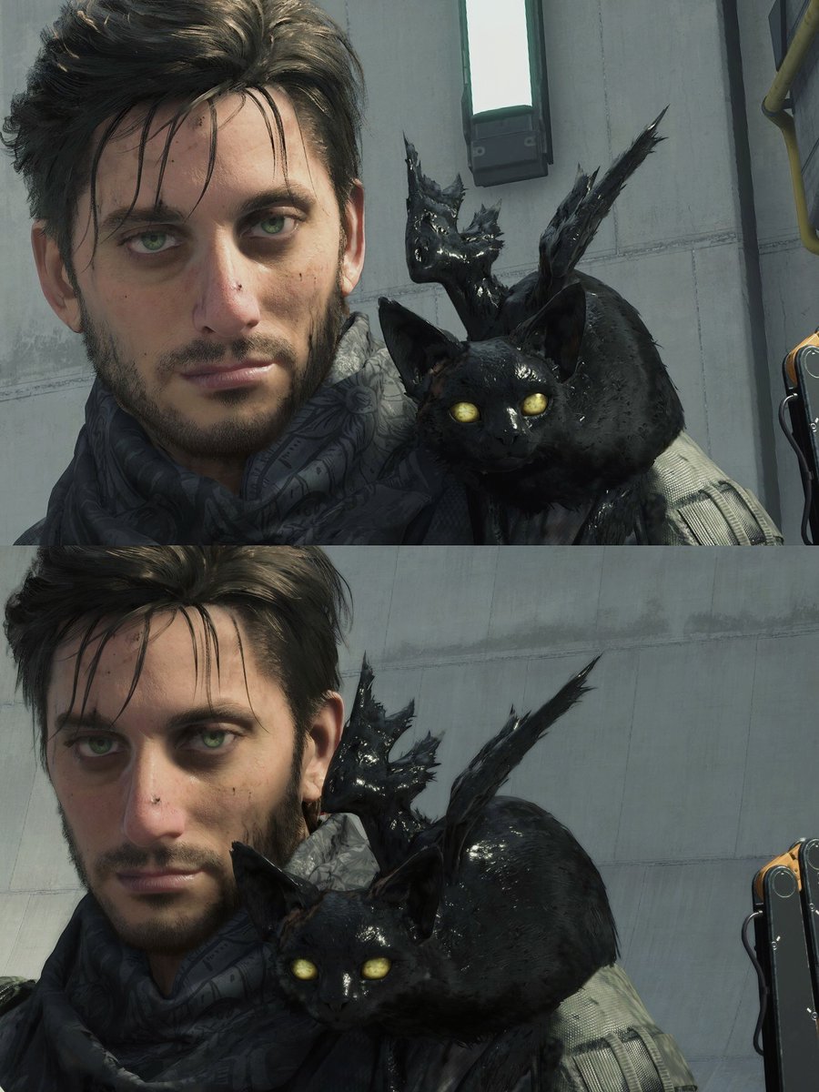 melscanvas_'s tweet photo. neil and tar cat 🥺 https://t.co/SyWnHET2rg