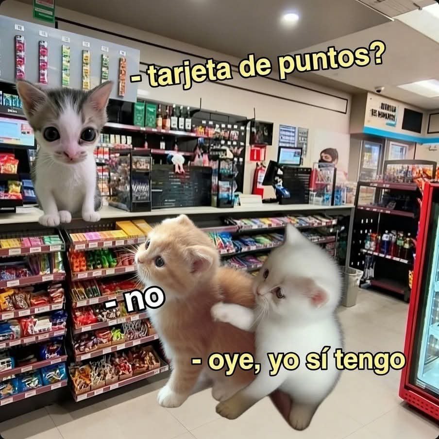 MundoDeBigotes's tweet photo. https://t.co/XcKOBPTBCV