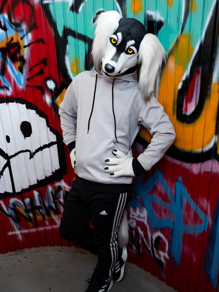 inutamiluki's tweet photo. I'm going to attend #Eurofurence !!
I’m looking forward to meeting furries in Europe🐶

今月19日からドイツのハンブルクで開催されるコンベンション「Eurofurence」に参加します！
初のヨーロッパのイベントを全力で楽しんできます！！
#FursuitFriday #EF30 https://t.co/6cfk7sWEAC