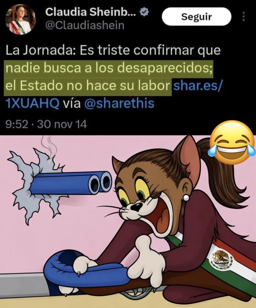 JohnMcLaneCA's tweet photo. “Nadie busca a los desparecidos; el Estado no hace su labor”, decía Claudia Sheinbaum en el año 2014, hoy se dedica a desaparecer a los desparecidos… 🇲🇽👇 https://t.co/7teUmvbklS