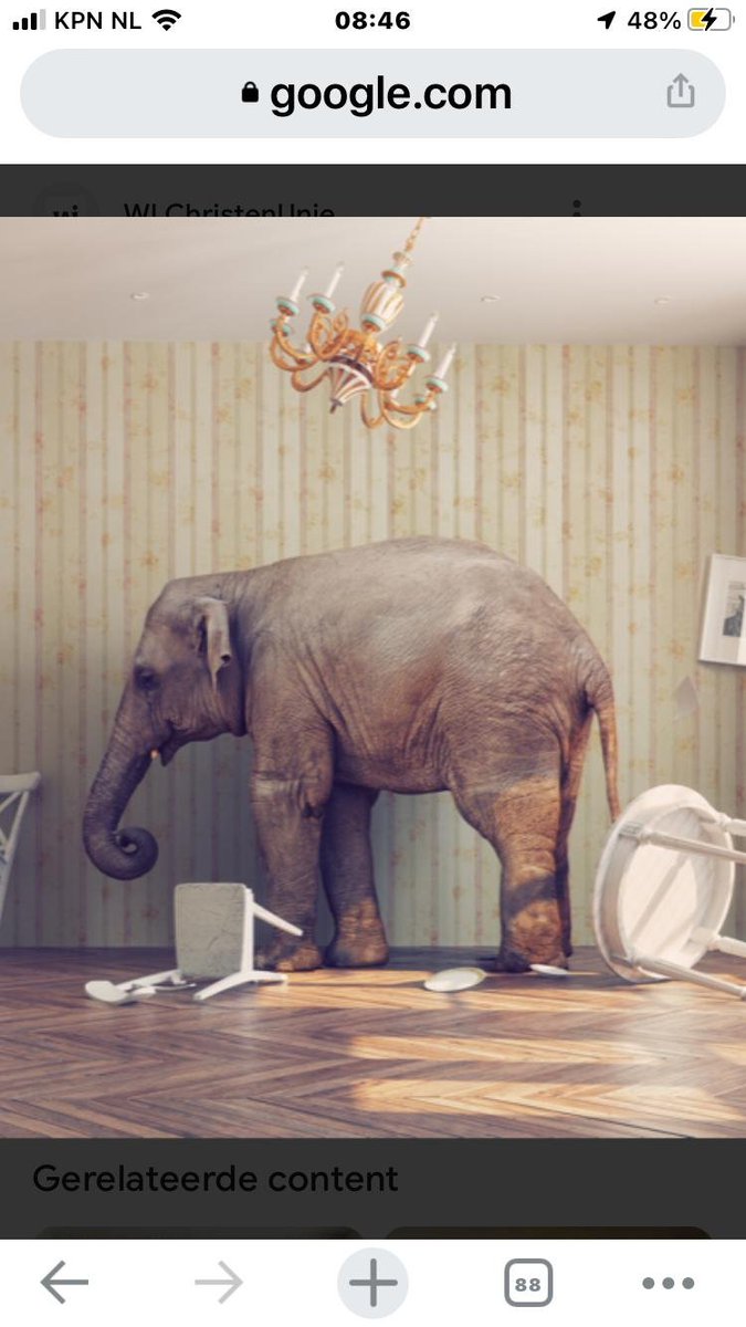 lampenstein's tweet photo. @Strijder124 "Als we nog steeds in elkaar worden geslagen en uit worden gescholden".............Joehoeoeoeoeoeoe Francis, graag wel even de olifant in de kamer benoemen, anders ben je gewoon een hypocriet tutje https://t.co/gQo103f8vi