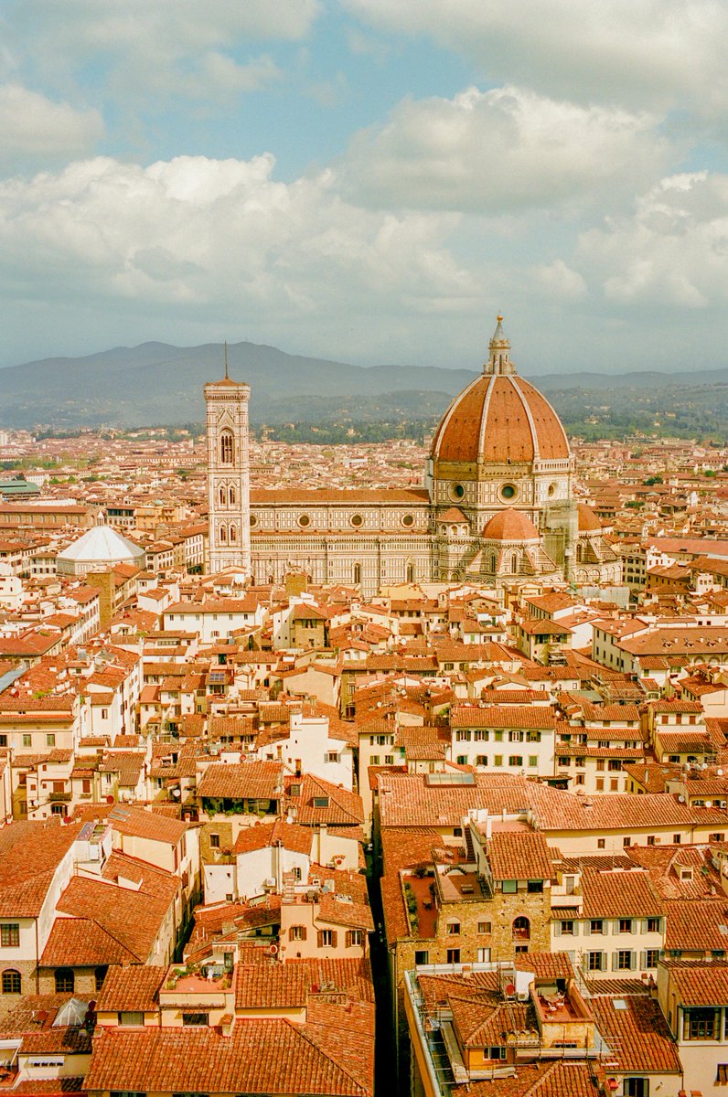 AlexKittoe's tweet photo. Florence on film 🎞️ https://t.co/iR2tZqfAqU