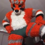 Photo by Zamboni Wolf 🐺 (@Wolfzel29)