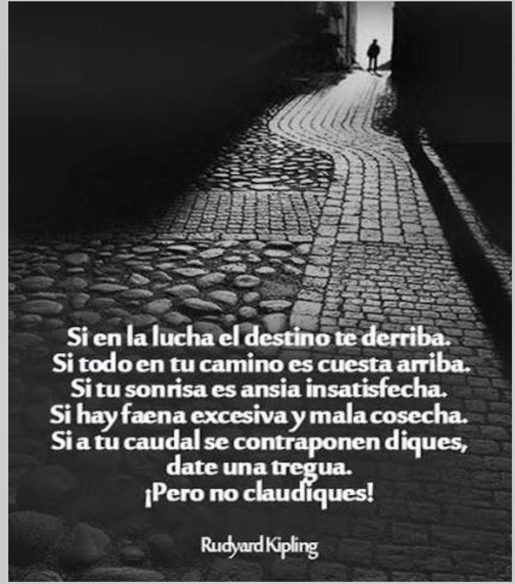gastonjfr's tweet photo. @artemisalopezc https://t.co/OWMU4Hm9AQ