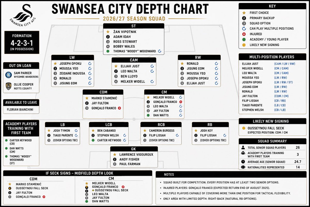 Jaiden_Ward's tweet photo. #SwanseaCity is starting to really look like an impressive squad with significant depth forward. https://t.co/9Amr8i61iB