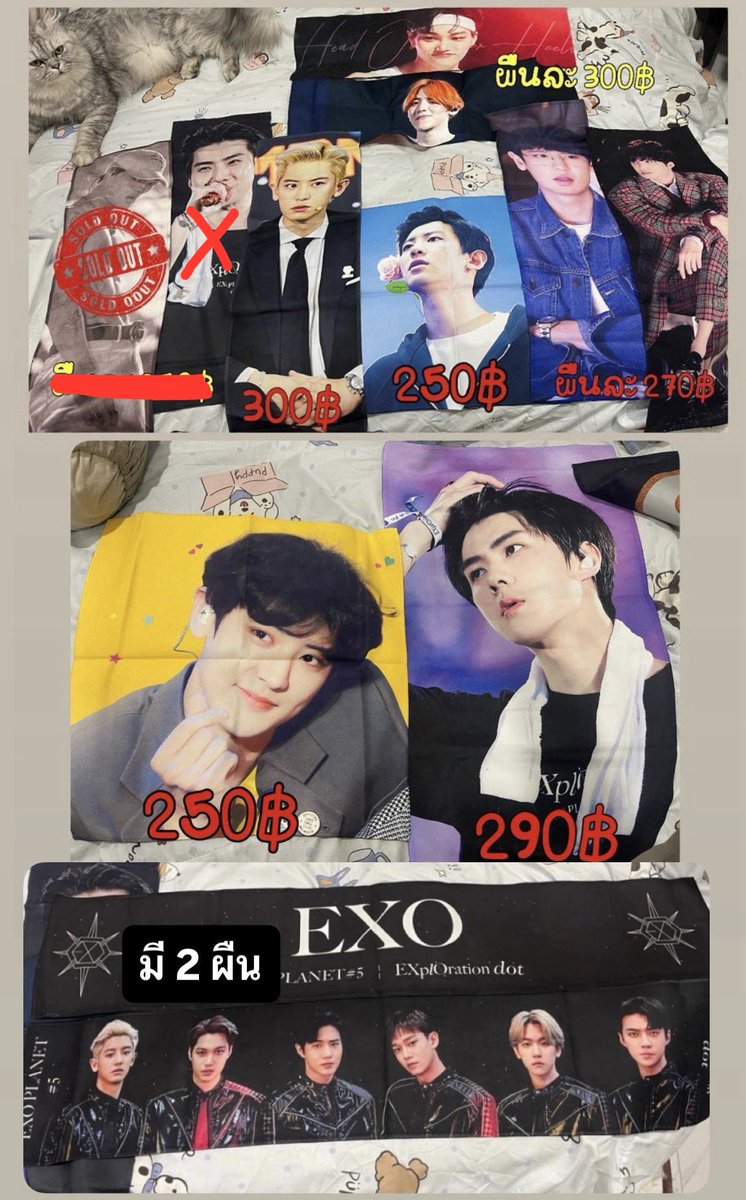 r______dtw's tweet photo. ส่งต่ออัลบั้ม/บางบั้มมีการ์ด / ผ้าเชียร์ สโลแกน Slogan
wts / ตามหา

📌บั้ม Don’t Fight The Feeling / EXIST / EX’ACT / 1 Billion Views / What a life / The Box 

สนใจทักเดมหรือเมนชั่นได้ค่ะ
เอฟเยอะส่งแฟลชให้ฟรีค่า

#ตลาดนัดEXO #ตลาดนัดEXOL #การ์ดexo #การ์ดแบคฮยอน #การ์ดชานยอล https://t.co/YnYqtNP9sG