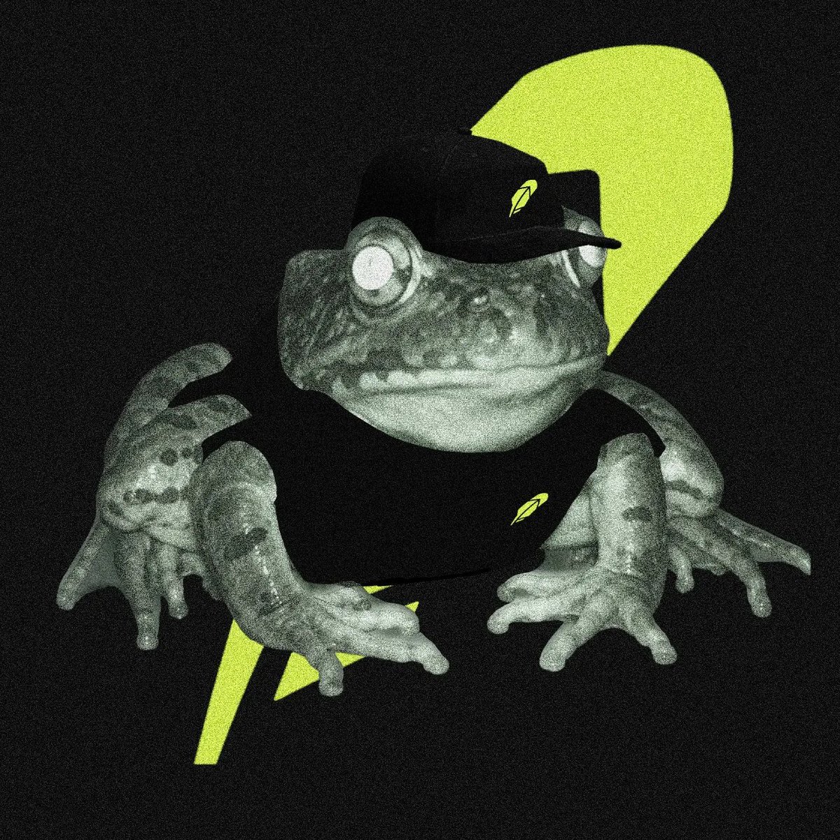 Frongsss's tweet photo. Pre-rich mode. OpenSea soon. 

Stay $FRONG. https://t.co/eKQgaQt2Az