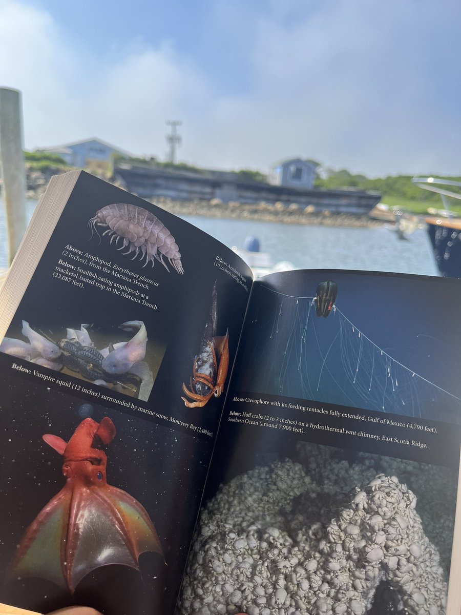 ryelynnwrites's tweet photo. doing some deep sea Simon au research while on vacation this week!
#bloodymary #ironking #projecthailmary https://t.co/CPd7RNRRAm