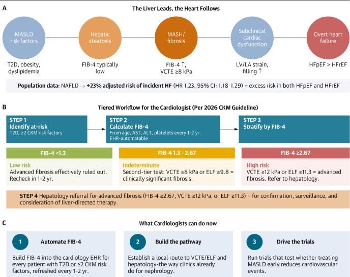 hfcollaboratory's tweet photo. Now in @JACCJournals Liver for the Cardiologist by @FudimMarat 

This article highlights why MASLD should be integrated into CKM care, its relevance to heart failure, and the role of FIB-4 assessment in routine cardiology practice. https://t.co/KEhbZxYJd1 https://t.co/jh9XDIs0Us