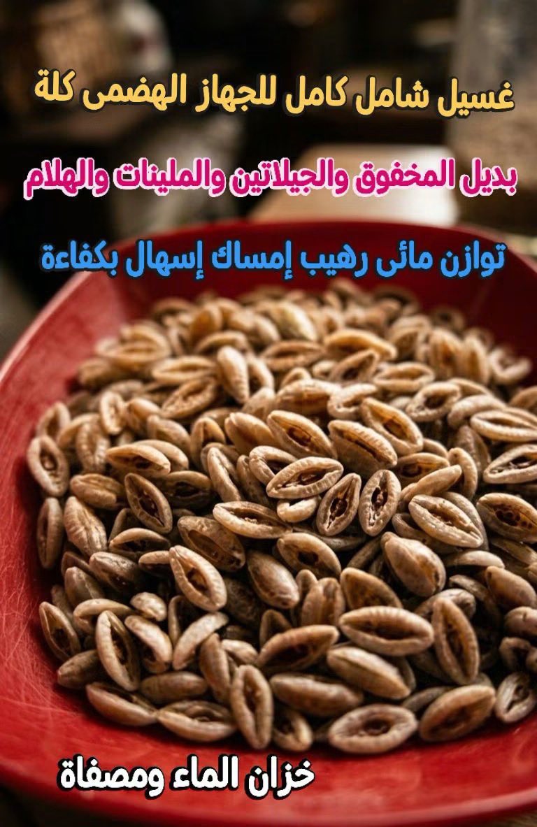 bri8trose's tweet photo. بذور القاطونة :

بالطول ولا بالعرض هى خير بذور أنجبتها الارض إكسير للجهاز الهضمى كلة وقدرتها العجيبة فى التكيف مع الجسم وتعلم مفاتيح الصحة والعافية بداخلة وتمتلك شفرتة ببراعة وقد يظن البعض هى مجرد ملين طبيعى فائق الجودة ولكن الكثير لازال لا يعلم بأهميتها الحقيقية وماذا تمثل لنا فى حياتنا اليومية .

  مكنسة طبيعية تخلصك من الشوائب الدقيقة والرواسب العالقة منذ سنوات فى تلافيف الأمعاء الدقيقة من خلال إلتصاق أليافها بها بقوة وتطردها الى الخارج جيدا 
️

   .تغذية للبكتريا النافعة بداخل القولون 
️. مغلف طبيعى لجدار المعدة والامعاء من خلال مادة جيلاتين  .
.ملطفة عند الالتهابات الداخلية تعزلها وتقلل الأعراض والأوجاع
️. من خلال شبكة هلامية تكونها تستطيع ان تبطئ إمتصاص الدهون والسكريات وتقلل مستوى إرتفاعها المفاجئ.

️. لديها توازن مائى داخل الجسم رهيب فى تساعدة جدا فى حالة الإمساك والاسهال معا بحيث تجذب الماء عند الإمساك وتمتص بسرعة الفائض من الماء لتمنحة القوام الطبيعى 

تعرف بأسم بذور " الربلة " او بذور القاطونة ولا يخلوا منها المطبخ العربى التراثى الاصيل وكانوا يقدرونها جدا يعرفونها أيضا بأسم " أسيل "
️✨️

هى أفضل بديل طبيعى للجلوتين لكافة المخبوزات يكفى منها ملعقة كبيرة مطحونة وتشوف العجب فى الملمس والطعم والقوام

  لأفضل كثافة طبيعية لجميع الشوربات والصلصات يكفى ربع ملعقة صغيره 
️

  للحريرة والعصائر لأحسن ملمس متماسك ملعقة صغيرة مطحونة 
️
 بديل البيض المخفوق عند عمل طبقة مع البقسماط  لقلى الخضروات أو اللحوم والطعام 

 ملحوظة مهمة جدا تجنب تناولها جافة نهائيا والافضل وهام نقعها أولا فى الماء وتناول كوبين من الماء بعد تناولها لإعطاء المادة الهلامية بها فرصة للقيام بدورها الطبيعى وتمنحك الراحة بفاعلية وامان.