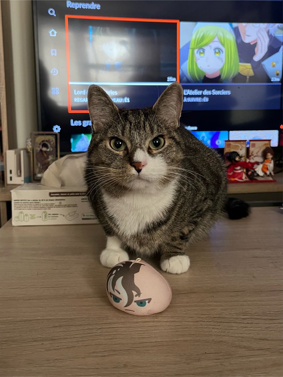 deed00dee's tweet photo. they are the same person https://t.co/SpQZA5Oxhq