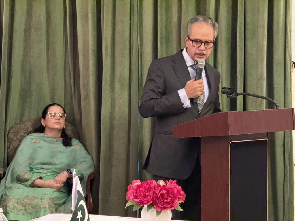 PK-UN Commemoration Calls for Justice: Advocates for Kashmir's Right to Self-Determination