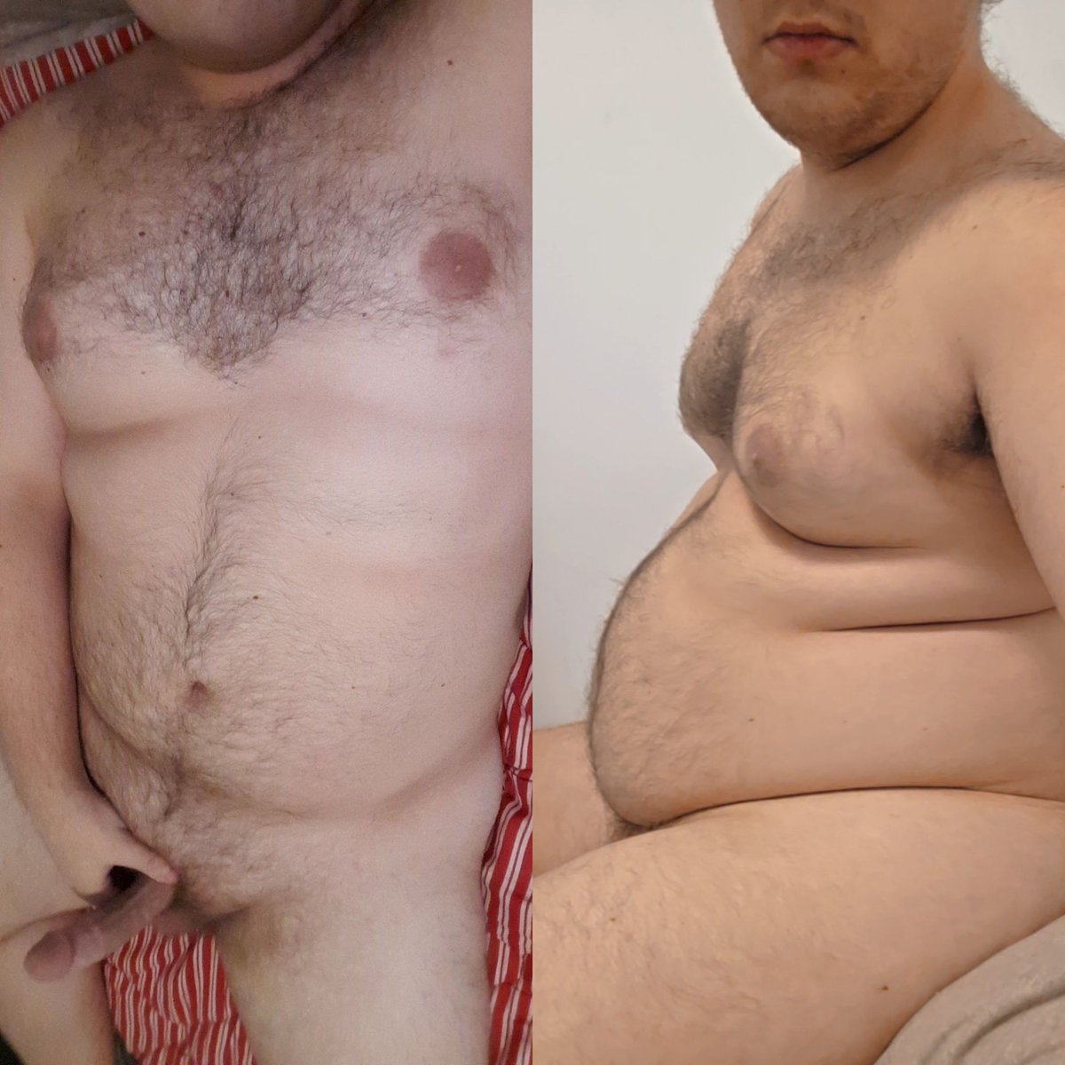 FetchTheBear tweet picture