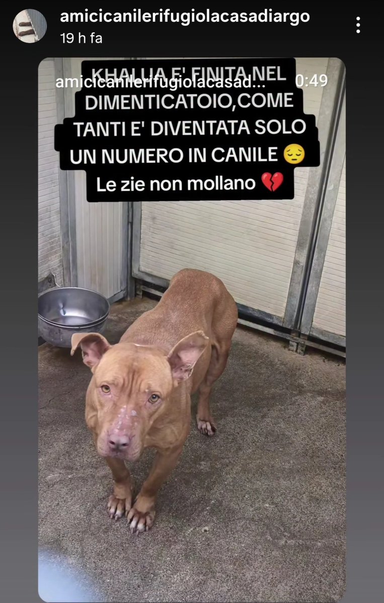 MonicaOrsini8 tweet picture