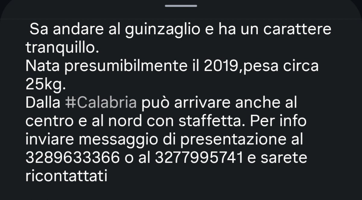MonicaOrsini8 tweet picture