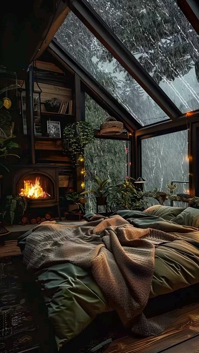 spooky_nature's tweet photo. POV: you wake up to one of these😌 https://t.co/JzLJuKOze9