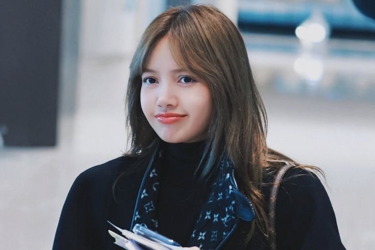 BLACKPINKSCRAVE's tweet photo. 🚨 LISA was seen on the same flight as the fan flying back to South Korea right now. https://t.co/kzmxGLgtvg