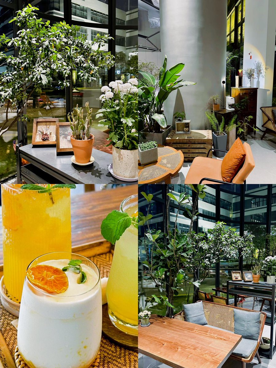 PrimosNordeste's tweet photo. Just tried the new immersive café experience at our city's waterfront—sipped lavender latte while watching sunset over the bay, no ordinary coffee run ever hit this hard! https://t.co/kgndYZUigC