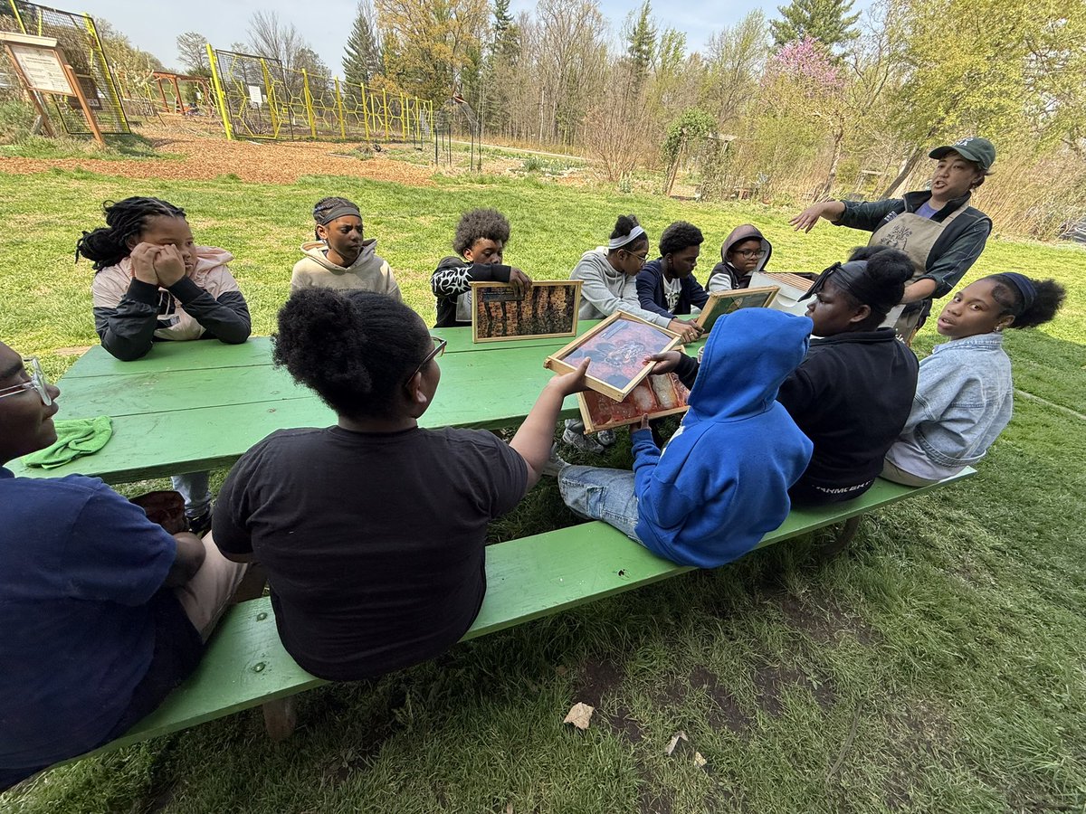 jonesbpmath's tweet photo. CapX students @ the national arboretum trying raw honey! 
#fpcsbp 
#onefriendship 
#aspiremore 
#friendshipsjourneyto30 https://t.co/8I4FWgSKns