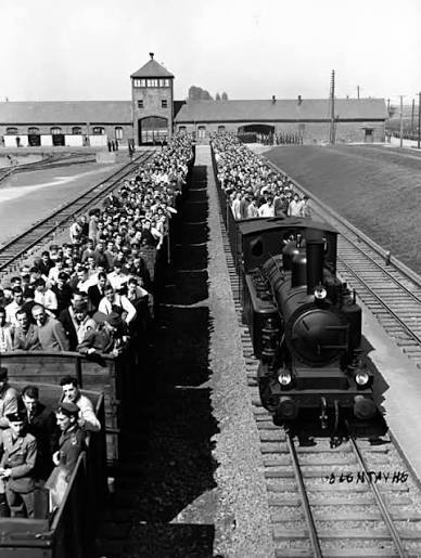 IfOnlyDandy's tweet photo. @warfareanalysis Your prophet is a pedophile , murdering warlord, that raped and enslaved his captives. If this is your prophet then you need not ever enter our countries. Seeing that you have maybe its time to arrange some trains..... https://t.co/oKOopKuoQ1