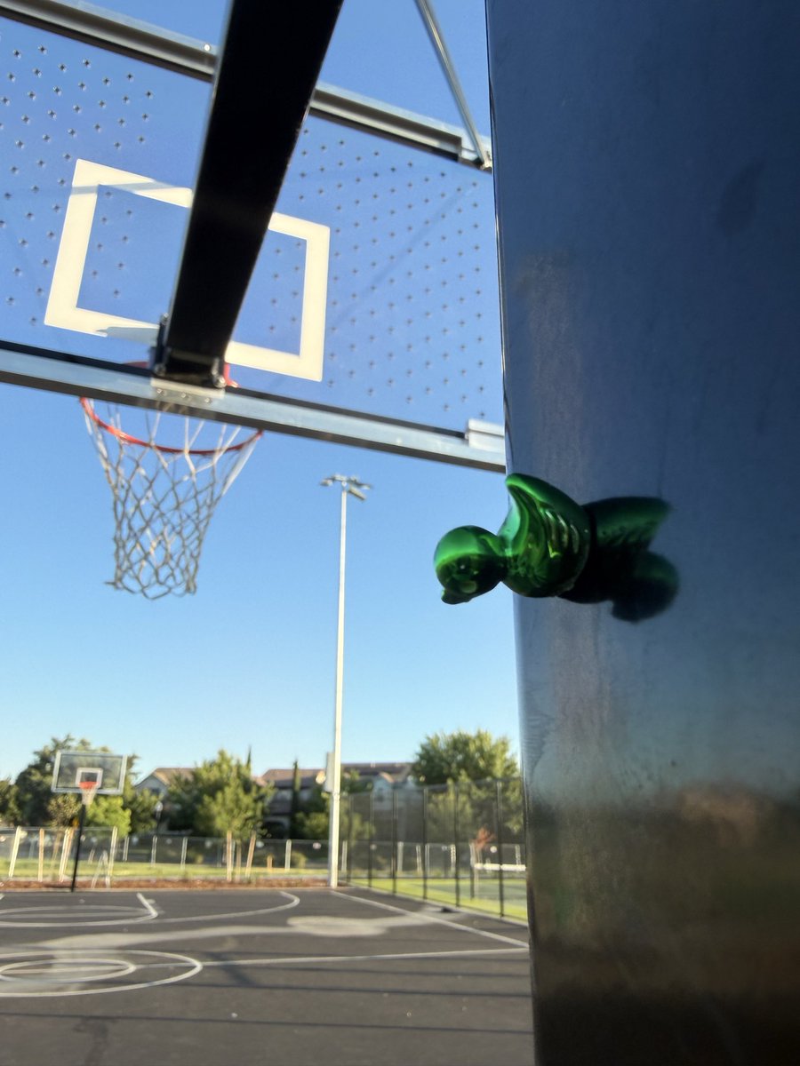 solo10e's tweet photo. 🏀🦆 https://t.co/JIXx7CAfR0