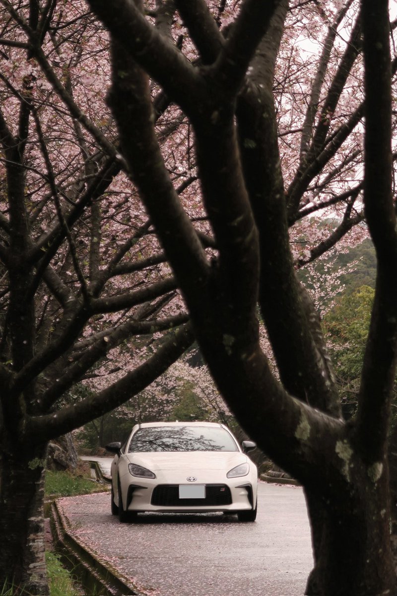 Chat2387's tweet photo. #86の日 
気づいたら今日で20,000km
まだまだ走ってもらいます🚗 https://t.co/66yIhHXHir