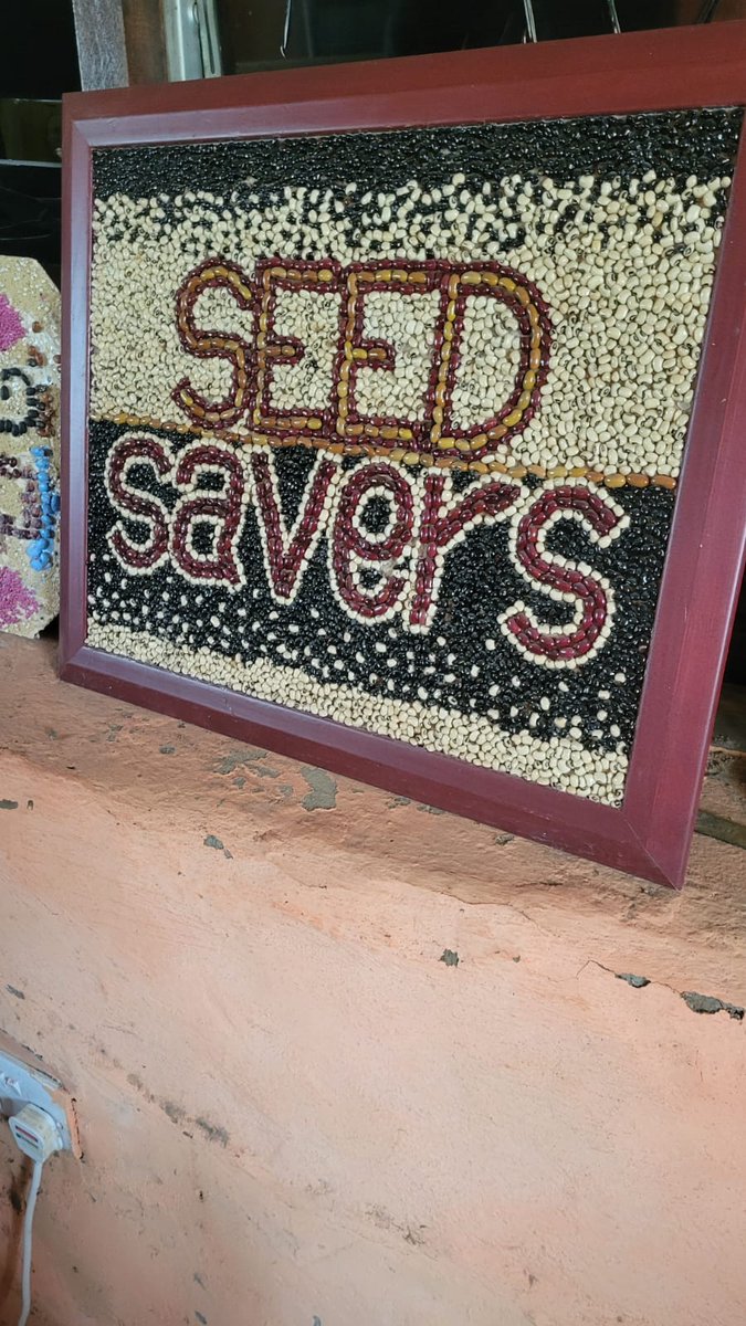 KenyaLeftA's tweet photo. The Kenya Left Alliance has partnered with the Seed Savers Network for a 3 day writeshop in Gilgil with farmers from the rural and urban areas as well as youth,women and social justice advocates.

#FoodSovereignty
#SeedSovereignty
#LandFoodandLiberation https://t.co/C9yxfTP9RW