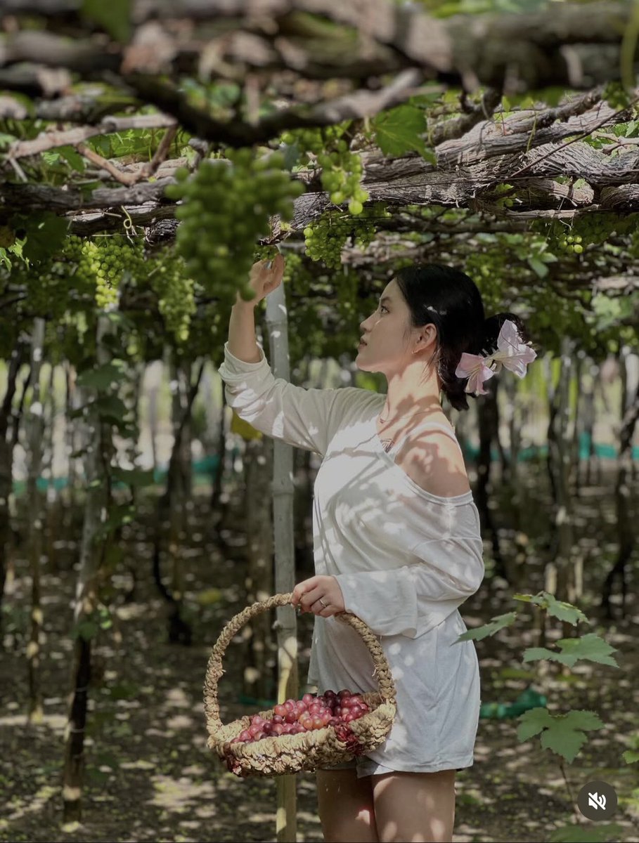 Mayconchocai's tweet photo. Xuân Nhi ơi mày đúng là con đĩ chó hạng nặng lồn rách nát vì bị địt suốt ngày đêm không biết chán m sinh ra là để làm đồ chơi cho đàn ông, nằm dang chân ra cho từng thằng vào thụ tinh liếm cặc nuốt tinh như con chó cái động dục loại m làm bồn chứa cho đàn ông https://t.co/a3DMw4ory2
