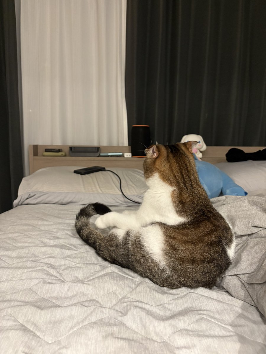 cm03xx's tweet photo. 座ってるゲンジかわいい😧💓 https://t.co/gGdeabPf72