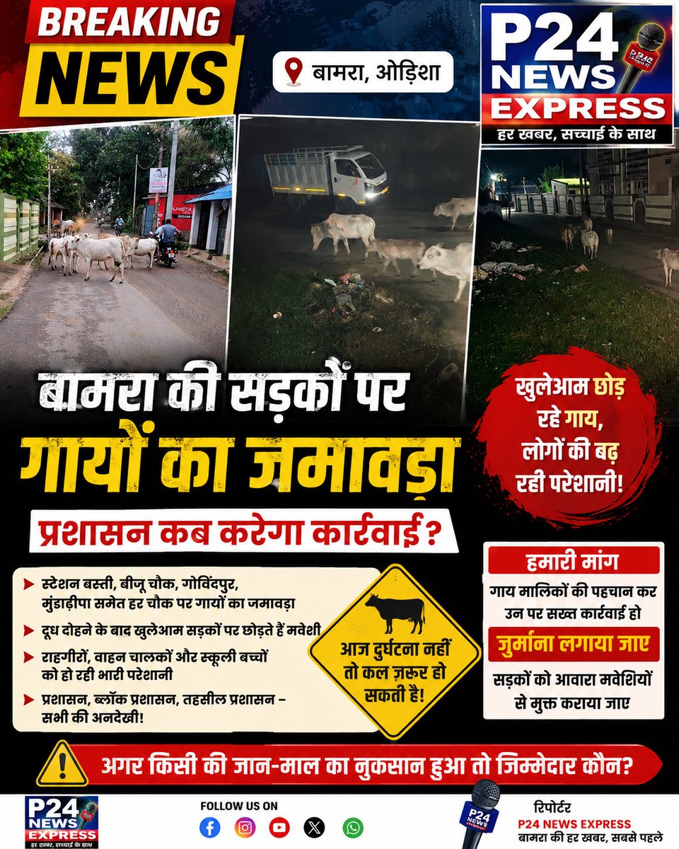 AnujSha30217938's tweet photo. #BreakingNews #P24NEWSEXPRESS #Bamra #Odisha #Sambalpur #BamraNews #RoadSafety #StrayCattle #CowMenace #PublicSafety #TrafficAlert #LocalNews #CivicIssues #Administration #BamraUpdates #OdishaNews #ViralNews #GroundReport #NewsUpdate #HindiNews https://t.co/ugmlHkDQQz