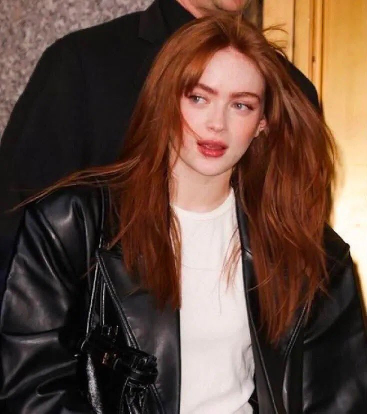 shayy_lior's tweet photo. want this hair color so bad 😭 Does anyone know what shade this is? I want to buy hair dye, but I don't know what color to get. https://t.co/rvOxJ4j9Oe
