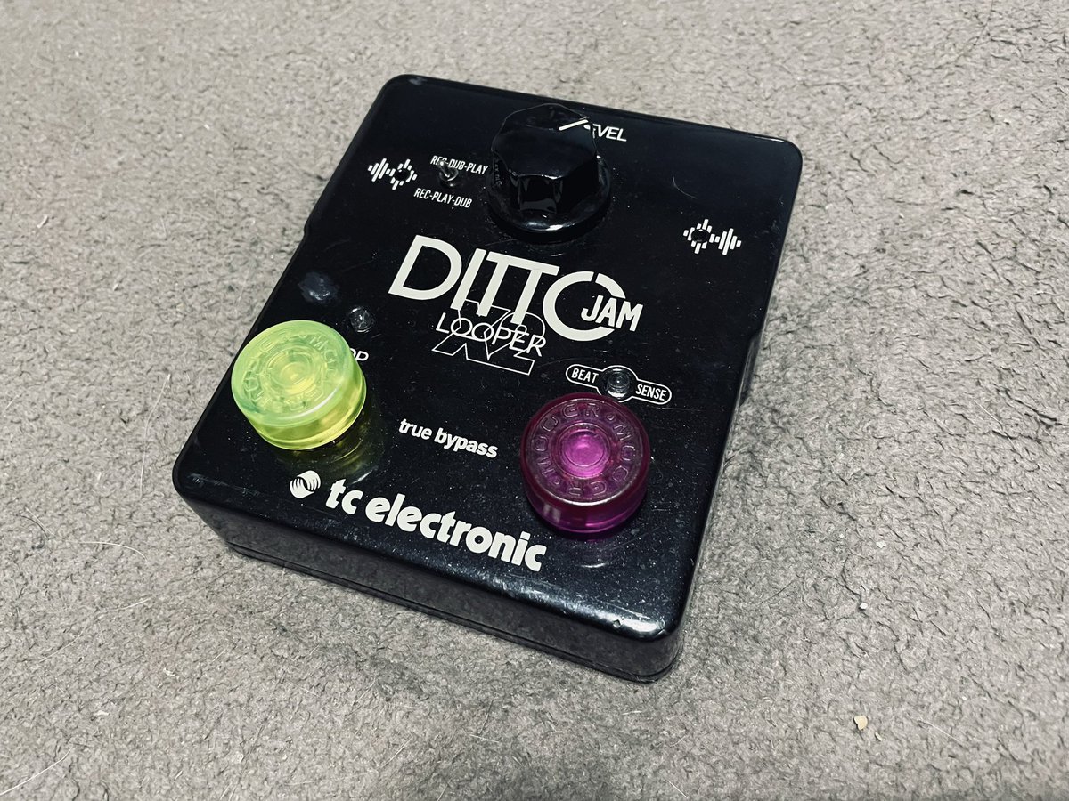kaama69's tweet photo. 長い事使っていたtc electroの DITTO LOOPERのフットスイッチの調子が悪くて踏み込んでも上手く動かなかったり変な挙動を起こす様になってライブに支障をきたす様になってたのでBOSSの1番安いルーパーを中古で購入
次回ライブはSILETOCOなので使う曲は風の谷のNausiccaのイントロだけなんですけどね😅 https://t.co/NYAMatb2z2