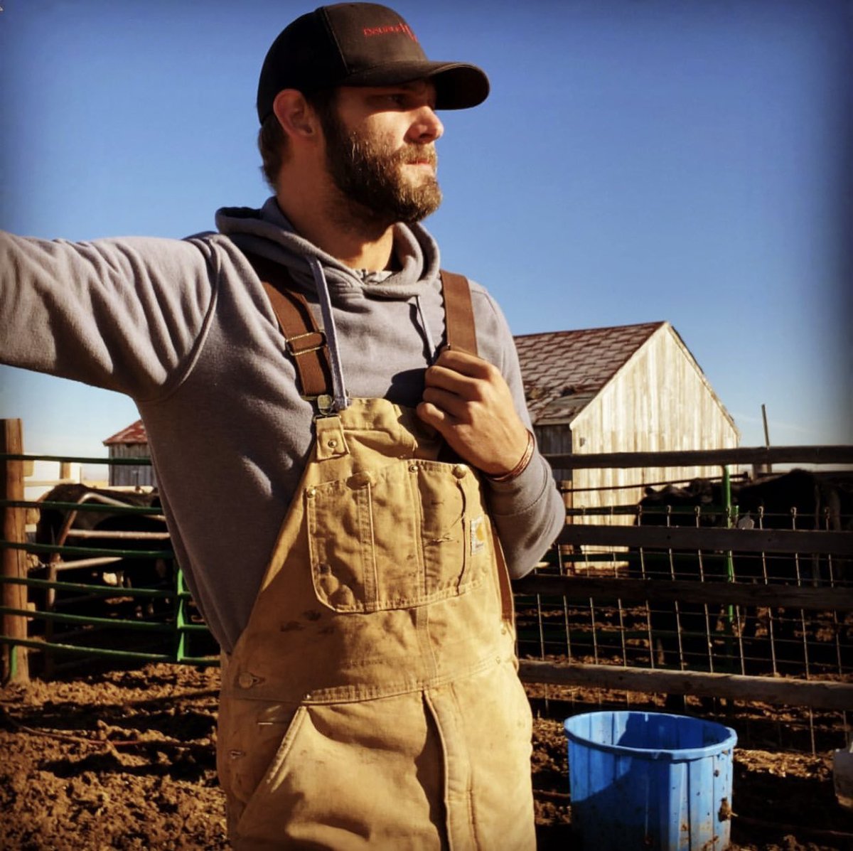 12hutch's tweet photo. It's the smell of cow poo in the morning for me https://t.co/PWSAouv3fZ