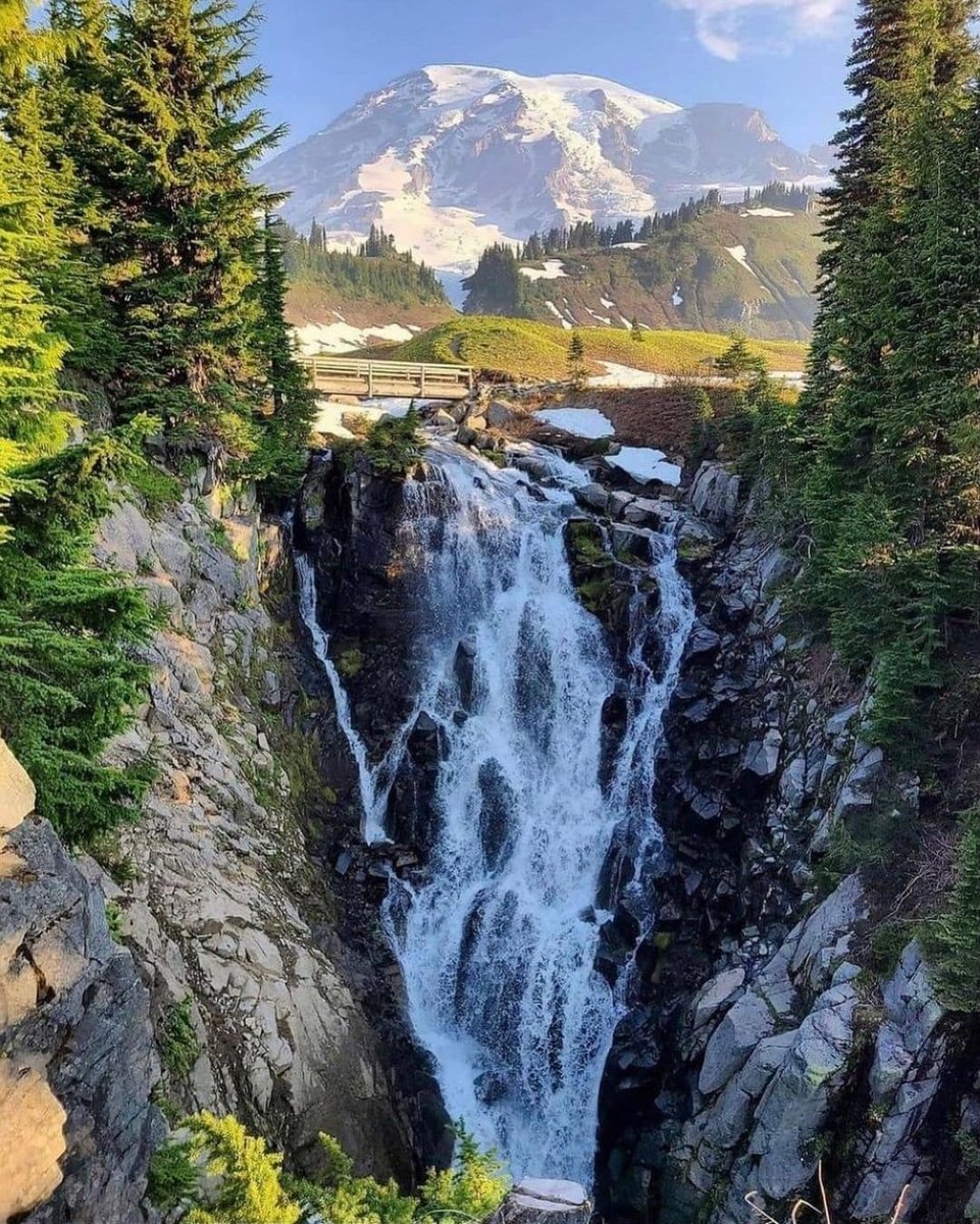Skylinehaven76's tweet photo. Mount Rainier national park 🏞️ https://t.co/7Eyu966lEO